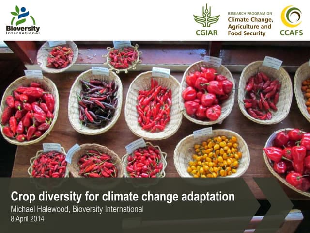 Crop diversity for climate change a...