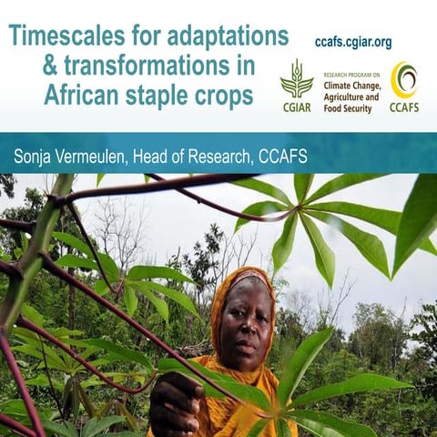 Timescales for adaptations & transformations in African staple crops