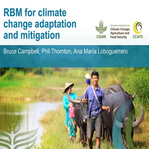 RBM for climate change adaptation and mitigation
