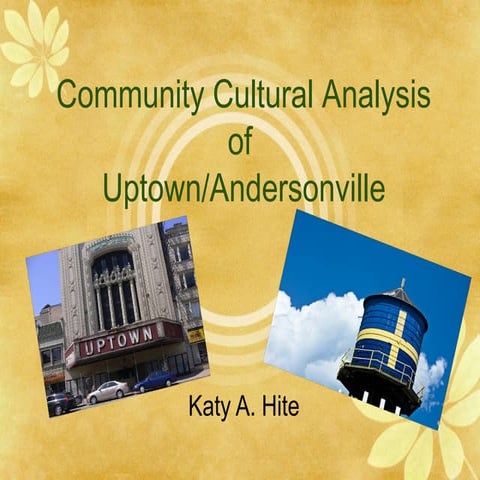 Katy Hite - Community Cultural Analysis