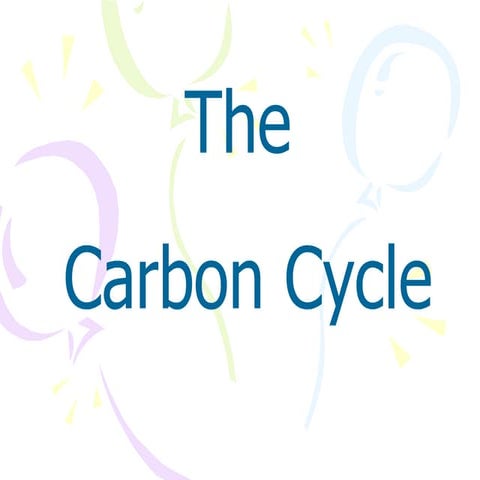 C carbon cycle last