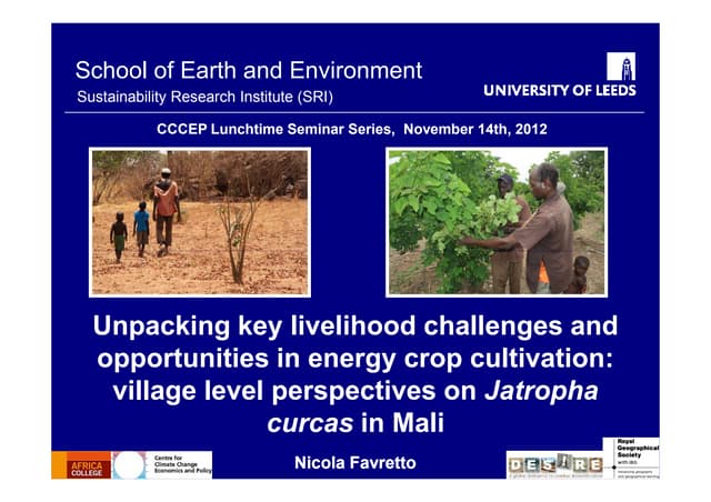 Unpacking key livelihood challenges and opportunities in energy crop cultivation: village level perspectives on Jatropha curcas in Mali