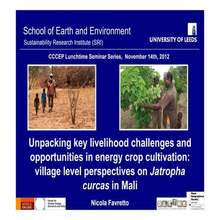 Unpacking key livelihood challenges and opportunities in energy crop cultivat...