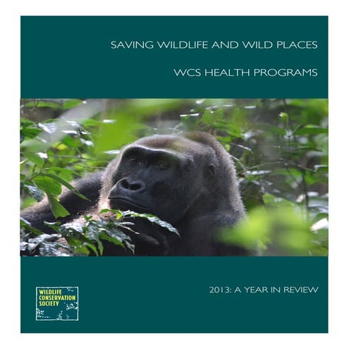 Beggs Writing Sample.Development_Stewardship Report