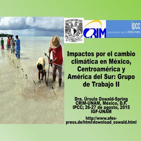 WGII: Central and South America