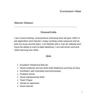 Steven Gibson CV
