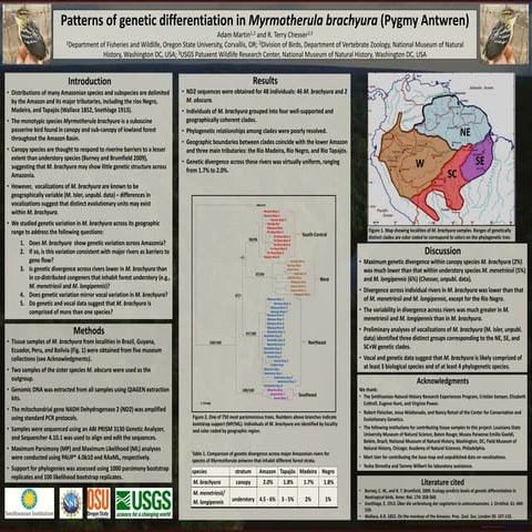 M  brachyura_Poster_Final