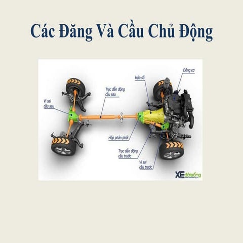 Các Đăng Và Cầu Chủ Động.pptx