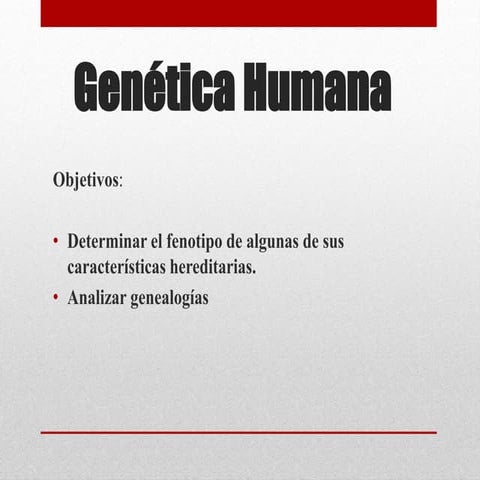 Ccnn genetica
