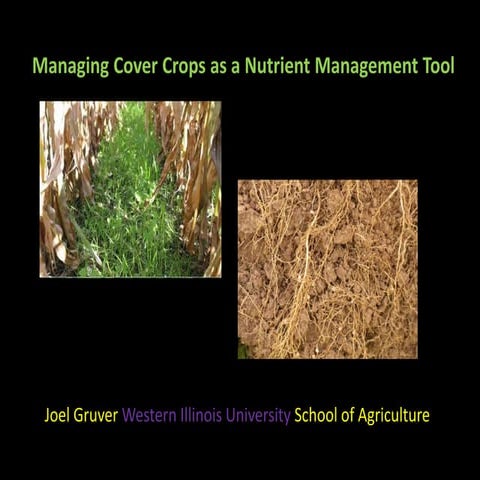 Managing Cover Crops as a Nutrient Management Tool