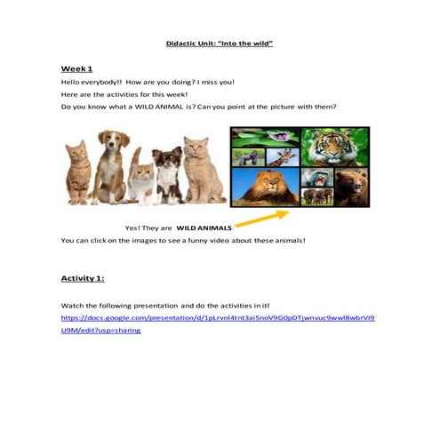 Muller Lilia - Didactic Unit 1 - Into the Wild