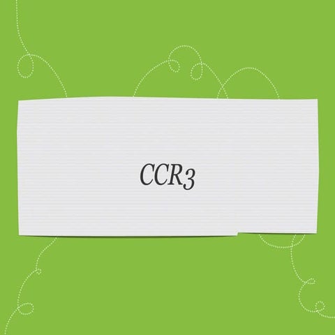 Creative Critical Reflection 3