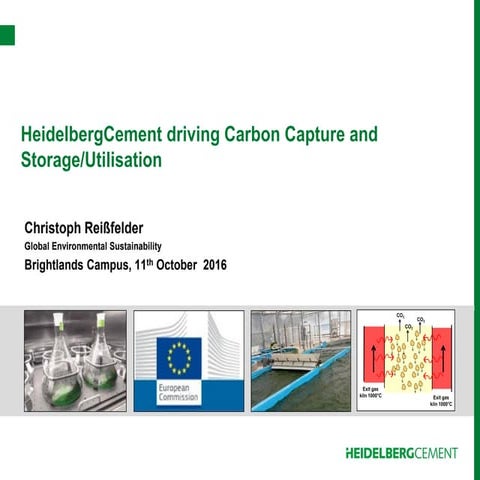 Carbon Capture and Storage in the Cement Industry