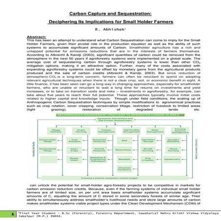 Carbon Capture and Storage : Implications for Smallholders