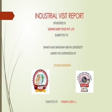 ccsit_college_industrial_visit_report.pptx