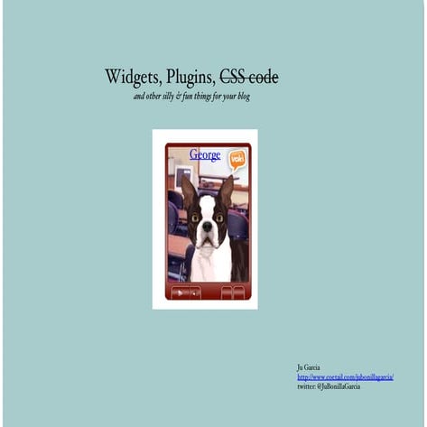 CSS, Widgets & Plugins