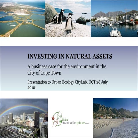 Investing in Natural Assets. A business case for the environment in the City ...