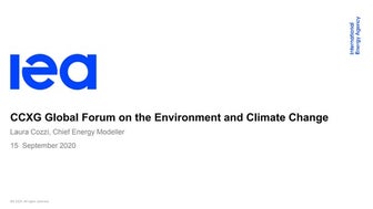 CCXG Forum, September 2020, Laura Cozzi