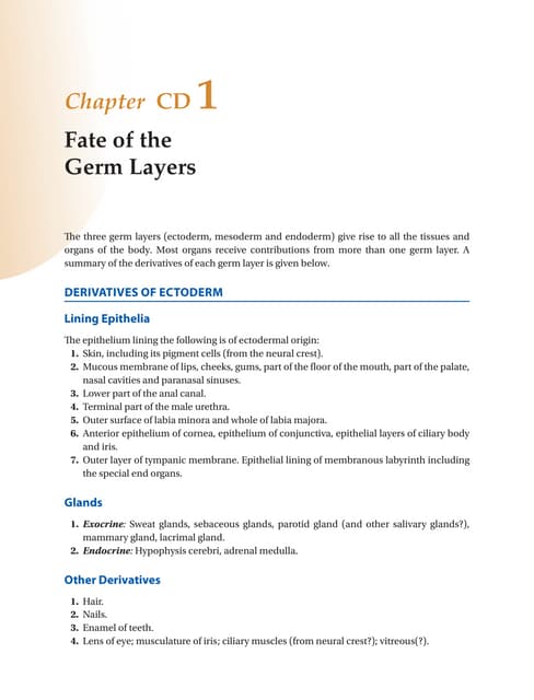 DERIVATIVES OF GERM LAYERS-3.ppt | Biological Sciences | Science