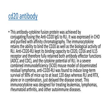 Cd20 antibody | PDF