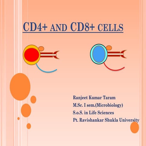 Cd4 and cd8 cells by RK