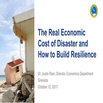 The Real Economic Cost of Disaster and How to Build Resilience