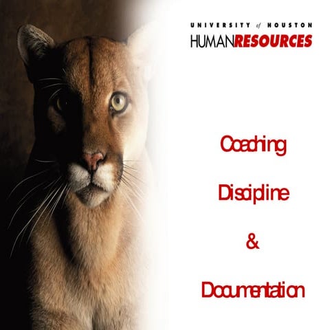 Cdd Power Point Aug09