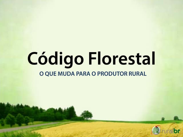 Código Florestal: o que muda para o...