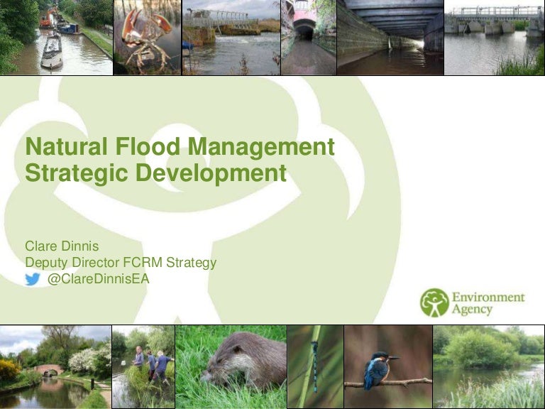 Natural Flood Management Strategic Development