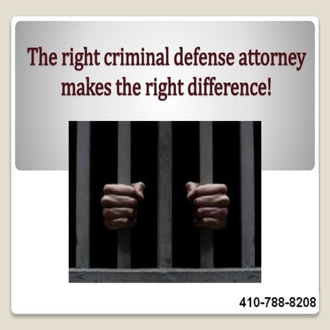 Introduction to Criminal Defense Lawyers.pdf