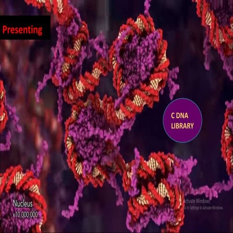 C dna library