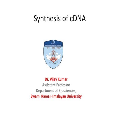 cDNA synthesis