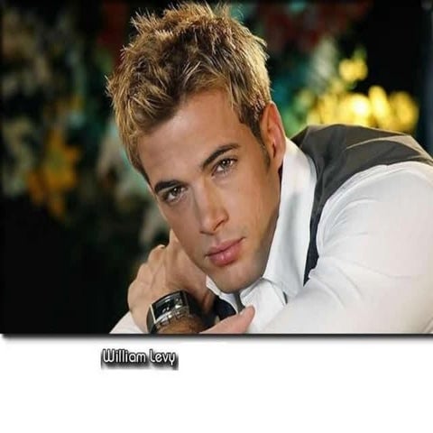 WILLIAM LEVY | PPT
