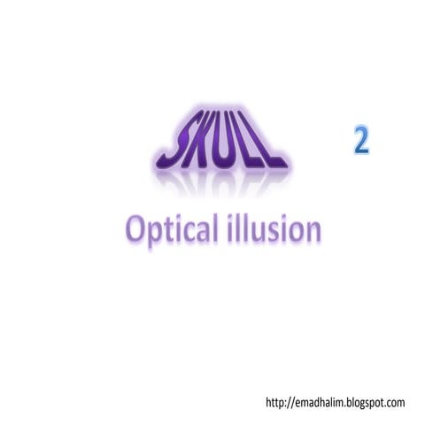 skull optical illusion 2