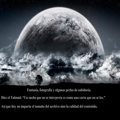 Naturaleza y sabiduría