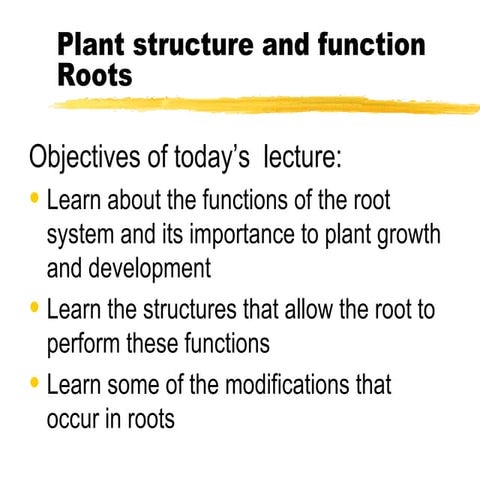 plant roots(b)