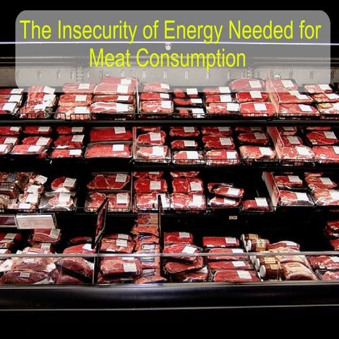 The Energy Needed for Meat and Animal Products
