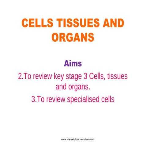 CELL-TISSUES-ORGANS AT A GLANCE
