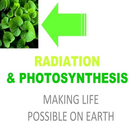 RADIATION & PHOTOSYNTHESIS