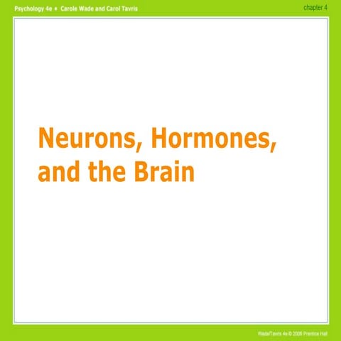 Brain Functions PowerPoint