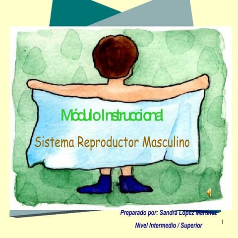 Sistema Reproductor Masculino