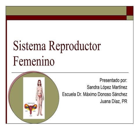 Sistema Reproductor Femenino
