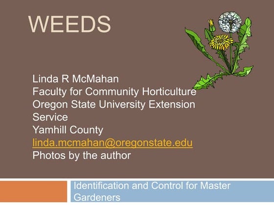 Weeds Training for Master Gardeners