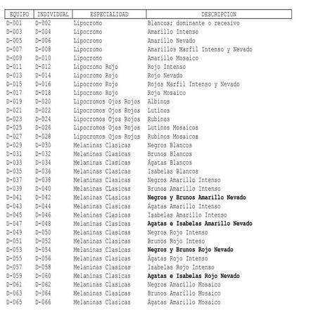 Concurso "La Costera" Xátiva