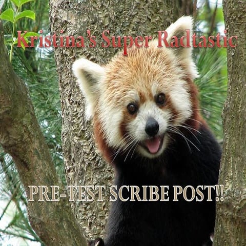 Pre-Test: Applications of Integrals