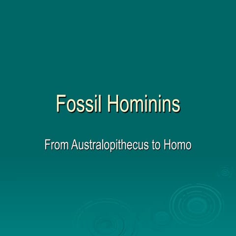 Fossil Hominins: From Australopithecus to Homo