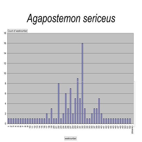 MidAtlantic Native Bee Phenology