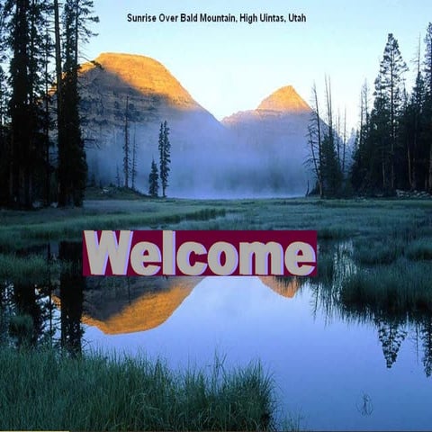 feed and fodder status in india