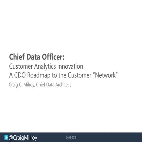 Chief Data Officer: Customer Analytics Innovation