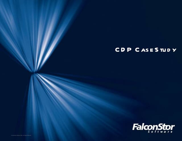FalconStor CDP Case Study